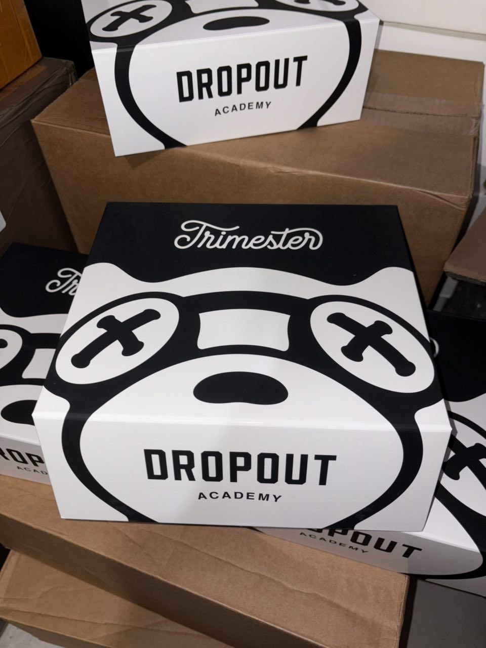 photo_2026-08-07_11-43-34 dropout academy trimester 3g disposable