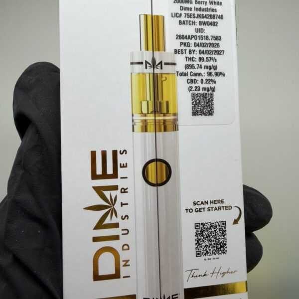 dime industries 2g disposable