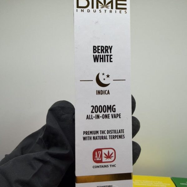 dime industries 2g disposable