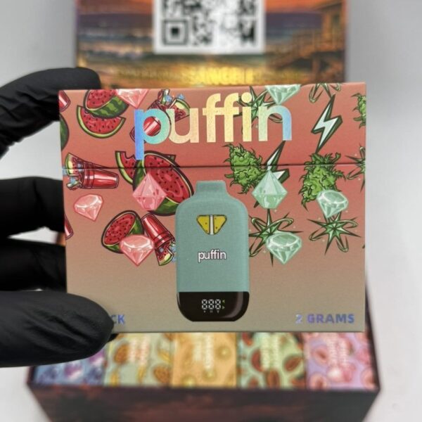 puffin summer edition 2g disposable