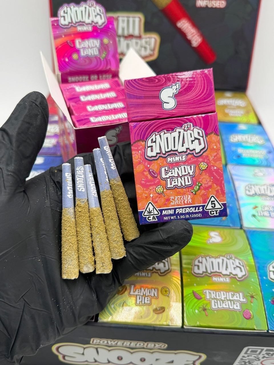 photo_2026-09-04_14-48-39 snoozies minis mini prerolls